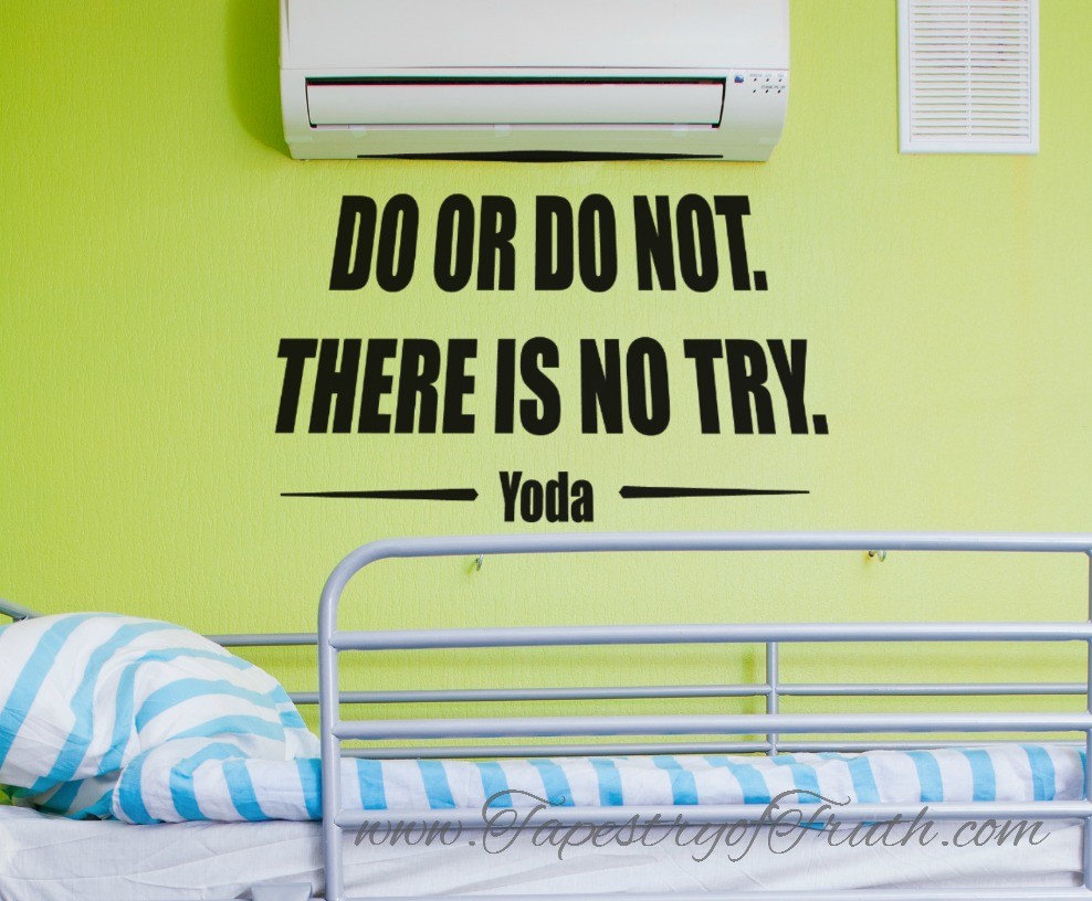 Do or do not, there is no try. Yoda 
